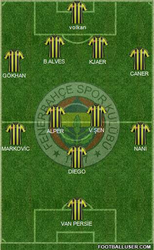 Fenerbahçe SK Formation 2015