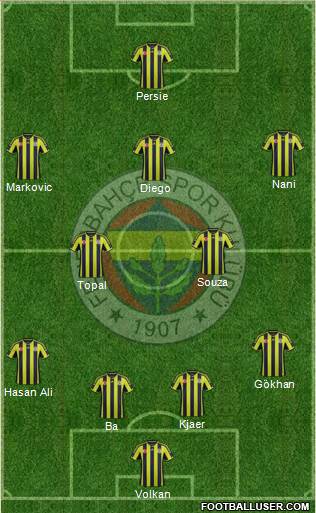 Fenerbahçe SK Formation 2015