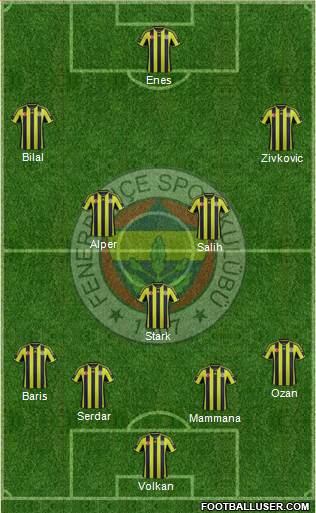 Fenerbahçe SK Formation 2015