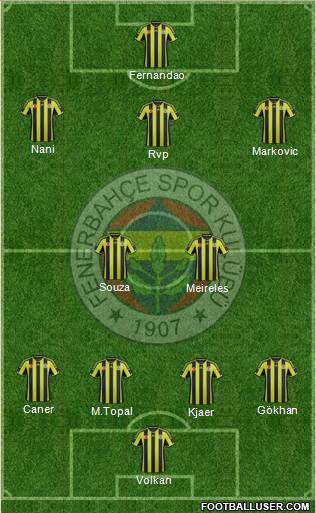 Fenerbahçe SK Formation 2015