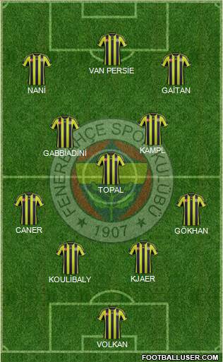 Fenerbahçe SK Formation 2015