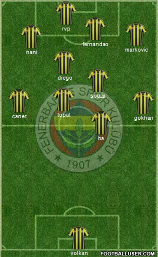Fenerbahçe SK Formation 2015