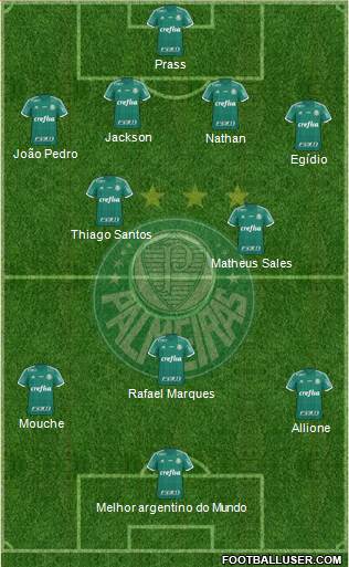 SE Palmeiras Formation 2015