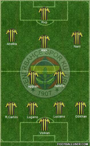 Fenerbahçe SK Formation 2015