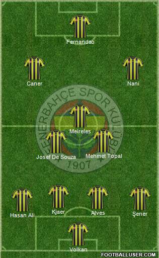 Fenerbahçe SK Formation 2015