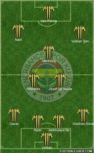 Fenerbahçe SK Formation 2015
