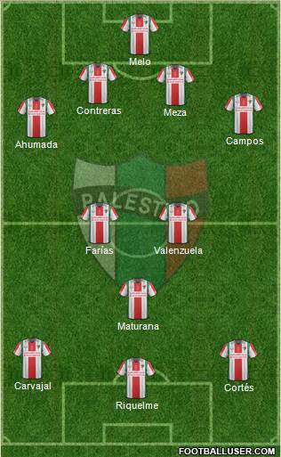 CD Palestino S.A.D.P. Formation 2015