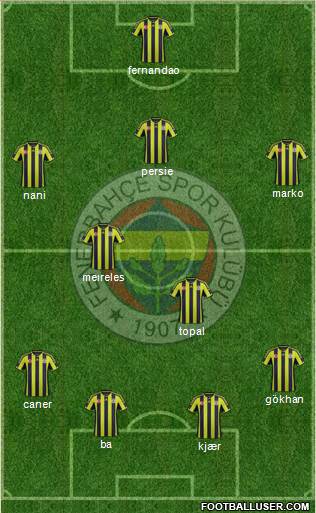 Fenerbahçe SK Formation 2015