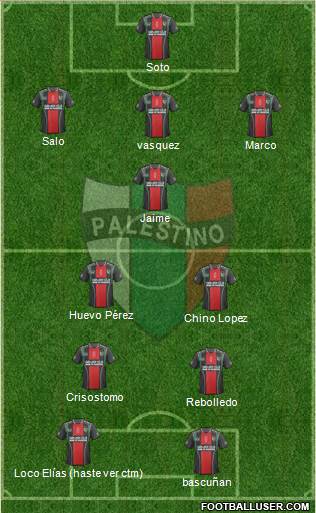CD Palestino S.A.D.P. Formation 2015