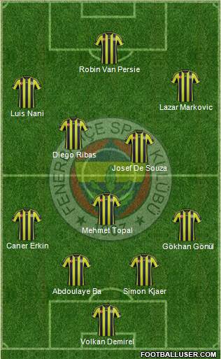 Fenerbahçe SK Formation 2015