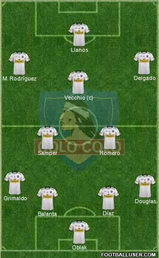 CSD Colo Colo Formation 2015