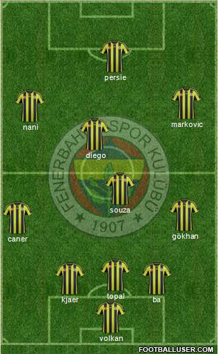 Fenerbahçe SK Formation 2015