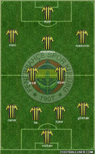 Fenerbahçe SK Formation 2015