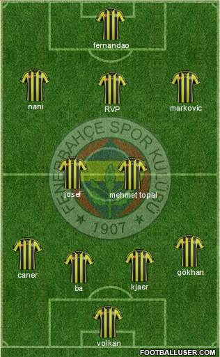 Fenerbahçe SK Formation 2015