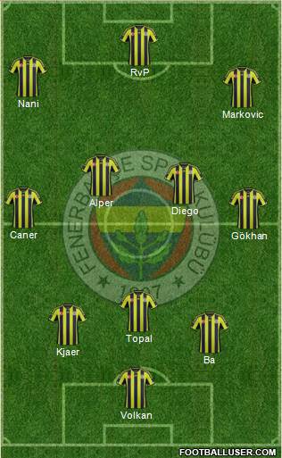 Fenerbahçe SK Formation 2015