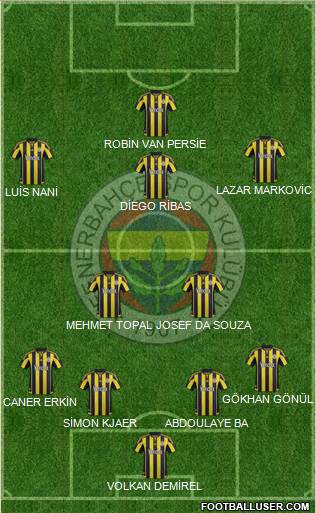 Fenerbahçe SK Formation 2015