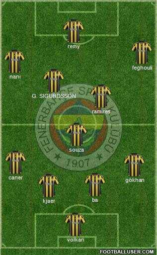 Fenerbahçe SK Formation 2015