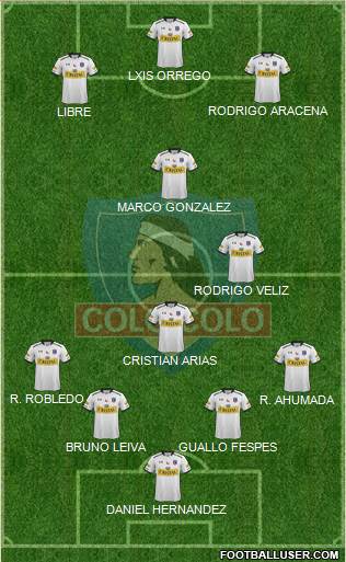 CSD Colo Colo Formation 2015