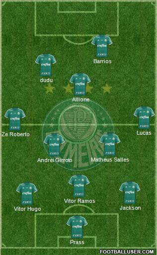 SE Palmeiras Formation 2015