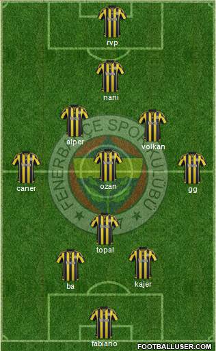 Fenerbahçe SK Formation 2015