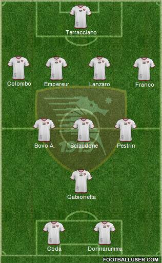 Salernitana Formation 2015