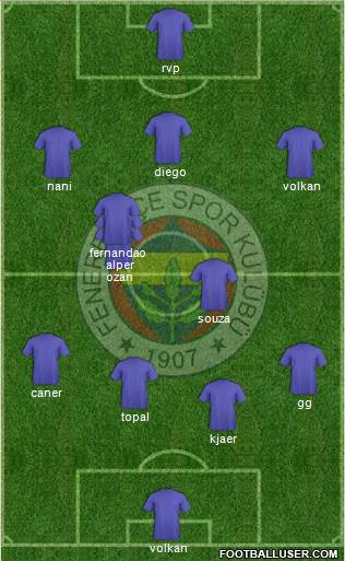 Fenerbahçe SK Formation 2015