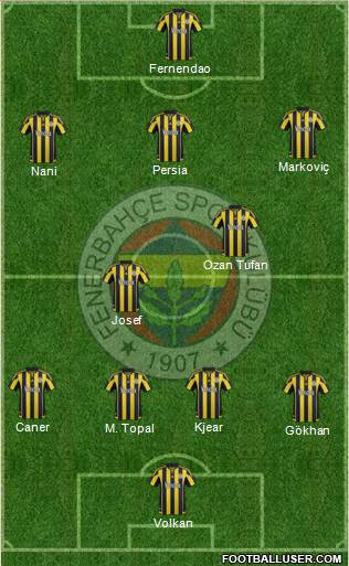 Fenerbahçe SK Formation 2015