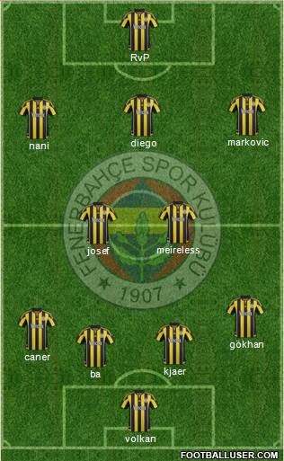 Fenerbahçe SK Formation 2015