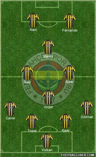 Fenerbahçe SK Formation 2015