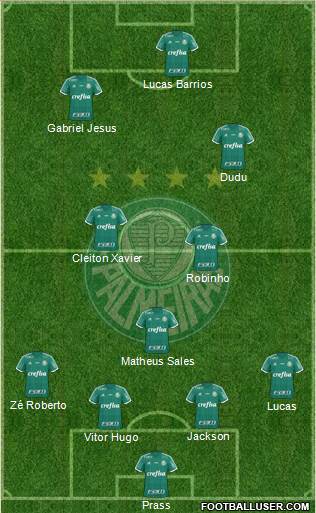 SE Palmeiras Formation 2015