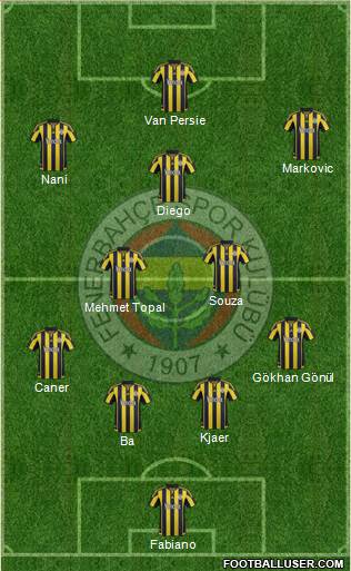 Fenerbahçe SK Formation 2015