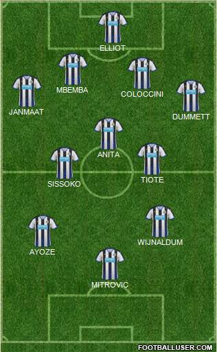 Newcastle United Formation 2015
