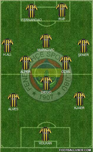 Fenerbahçe SK Formation 2015