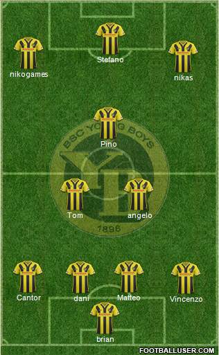 BSC Young Boys Formation 2015