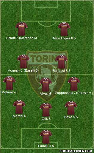 Torino Formation 2015