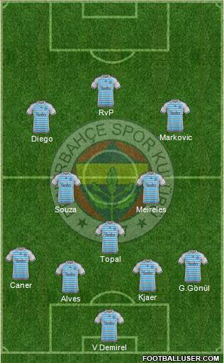 Fenerbahçe SK Formation 2015