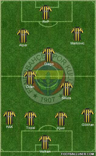 Fenerbahçe SK Formation 2015