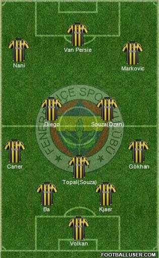 Fenerbahçe SK Formation 2015
