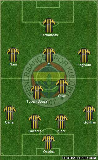 Fenerbahçe SK Formation 2015