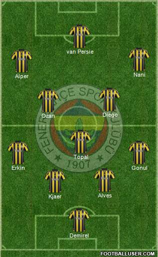 Fenerbahçe SK Formation 2015