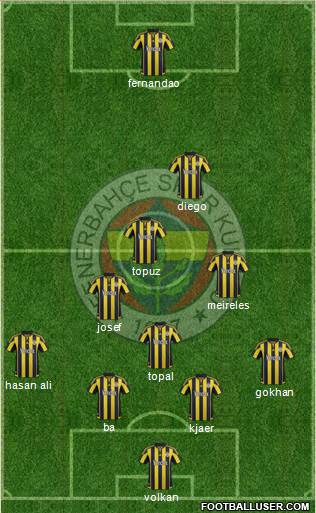 Fenerbahçe SK Formation 2015