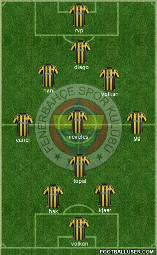 Fenerbahçe SK Formation 2015