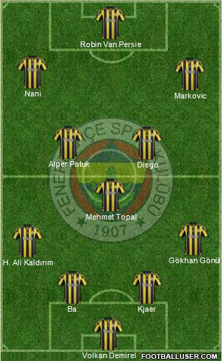 Fenerbahçe SK Formation 2015