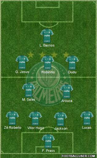 SE Palmeiras Formation 2015