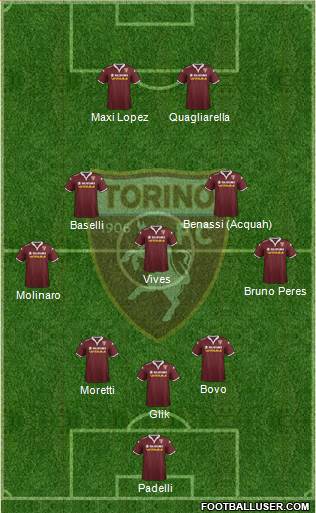 Torino Formation 2015
