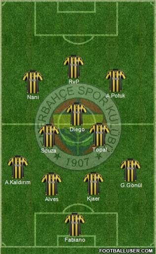 Fenerbahçe SK Formation 2015