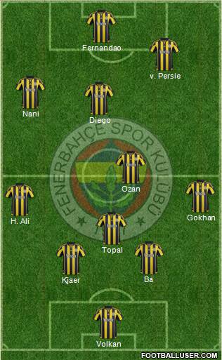 Fenerbahçe SK Formation 2015