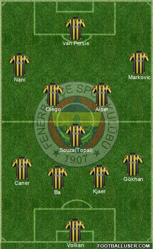 Fenerbahçe SK Formation 2015