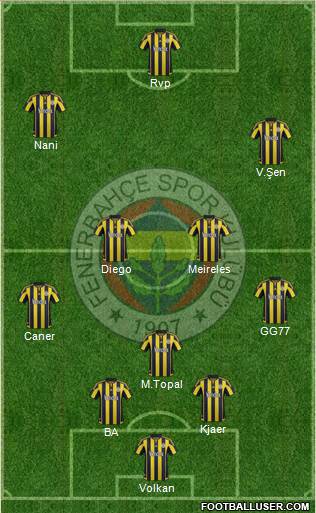 Fenerbahçe SK Formation 2015