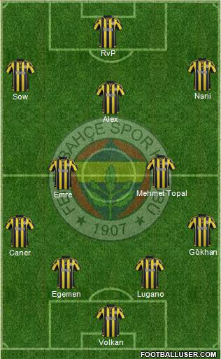 Fenerbahçe SK Formation 2015